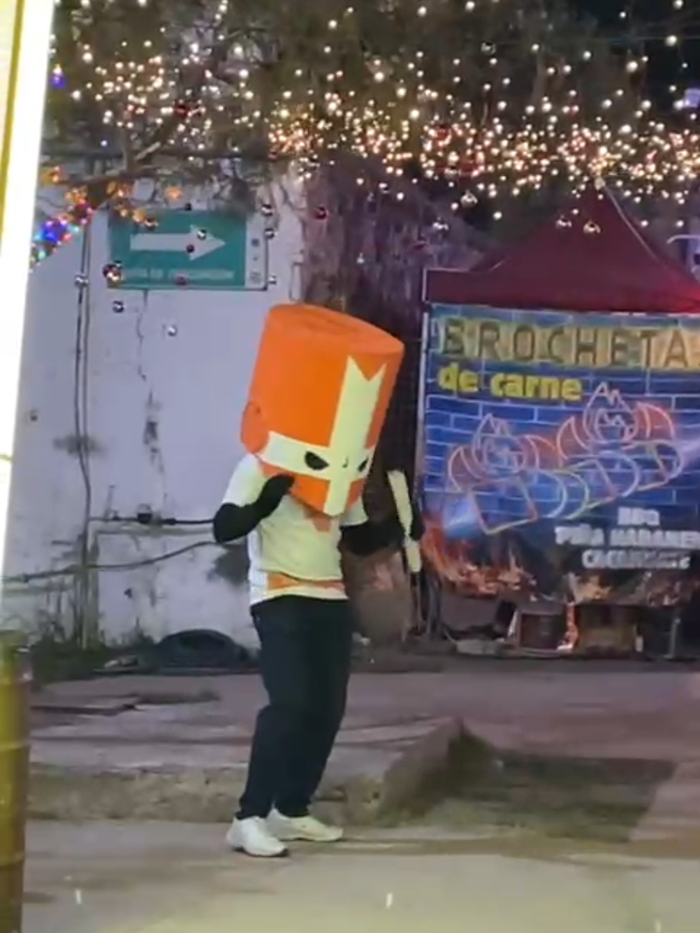 Sí le sabes al #POV luisito 🗣️ ojala lo vea @The Behemoth  #mision1 #castlecrashers  #gaming  #cosplay 