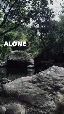 Alone. #music #lyrics #fyp 