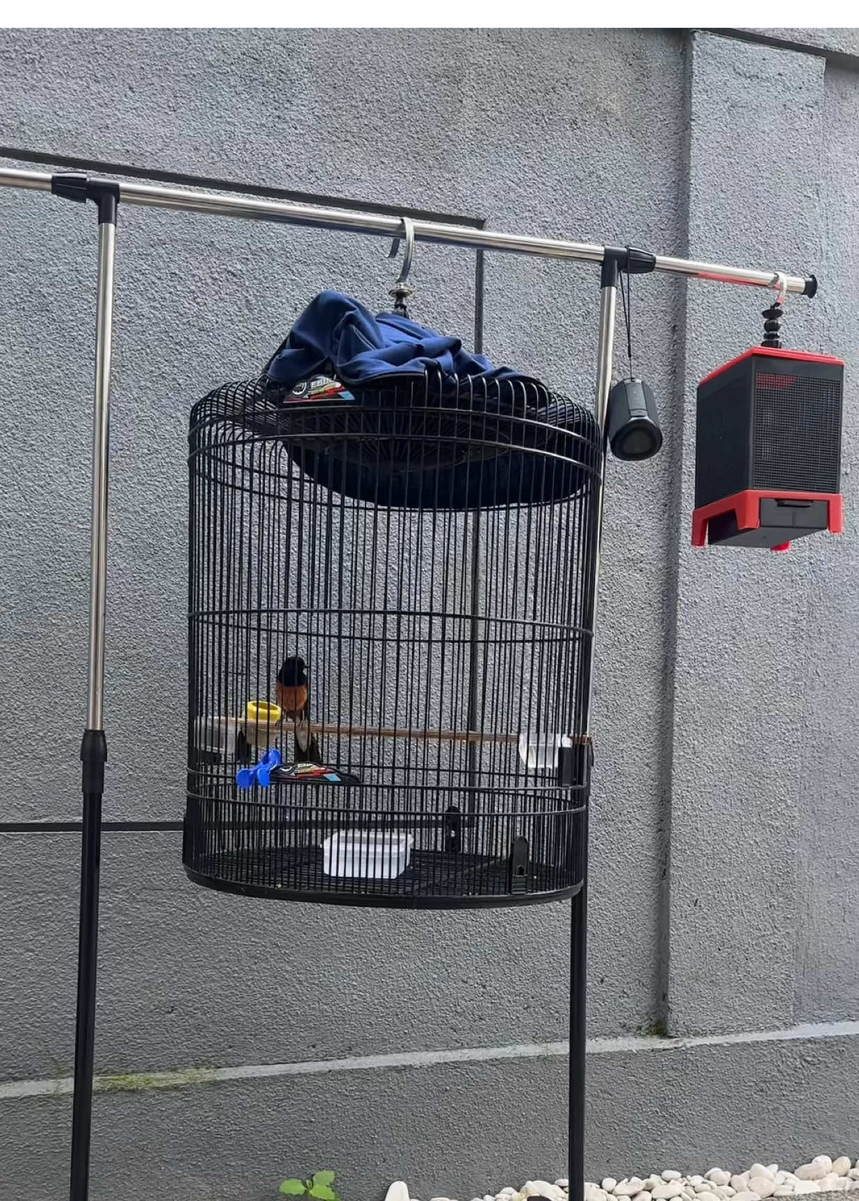 Janoko habis mandi wkwk  #kicaumania #muraibatu #fypシ 