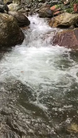 #fpyyyyyyyyyyyyyyyyyyyyyyyyyyyyyyyyyyy #Mrsantosh123464 #Nepalrealnature