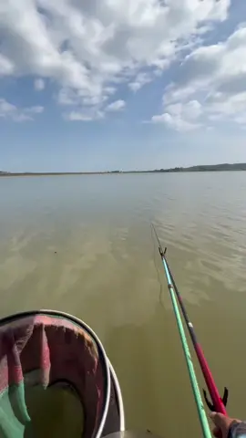 Khai cần mới rực rỡ #xhtiktok #caudaitunhien #caucagiaitri🎣 #moicaukimlong #kimlongcauladinh 