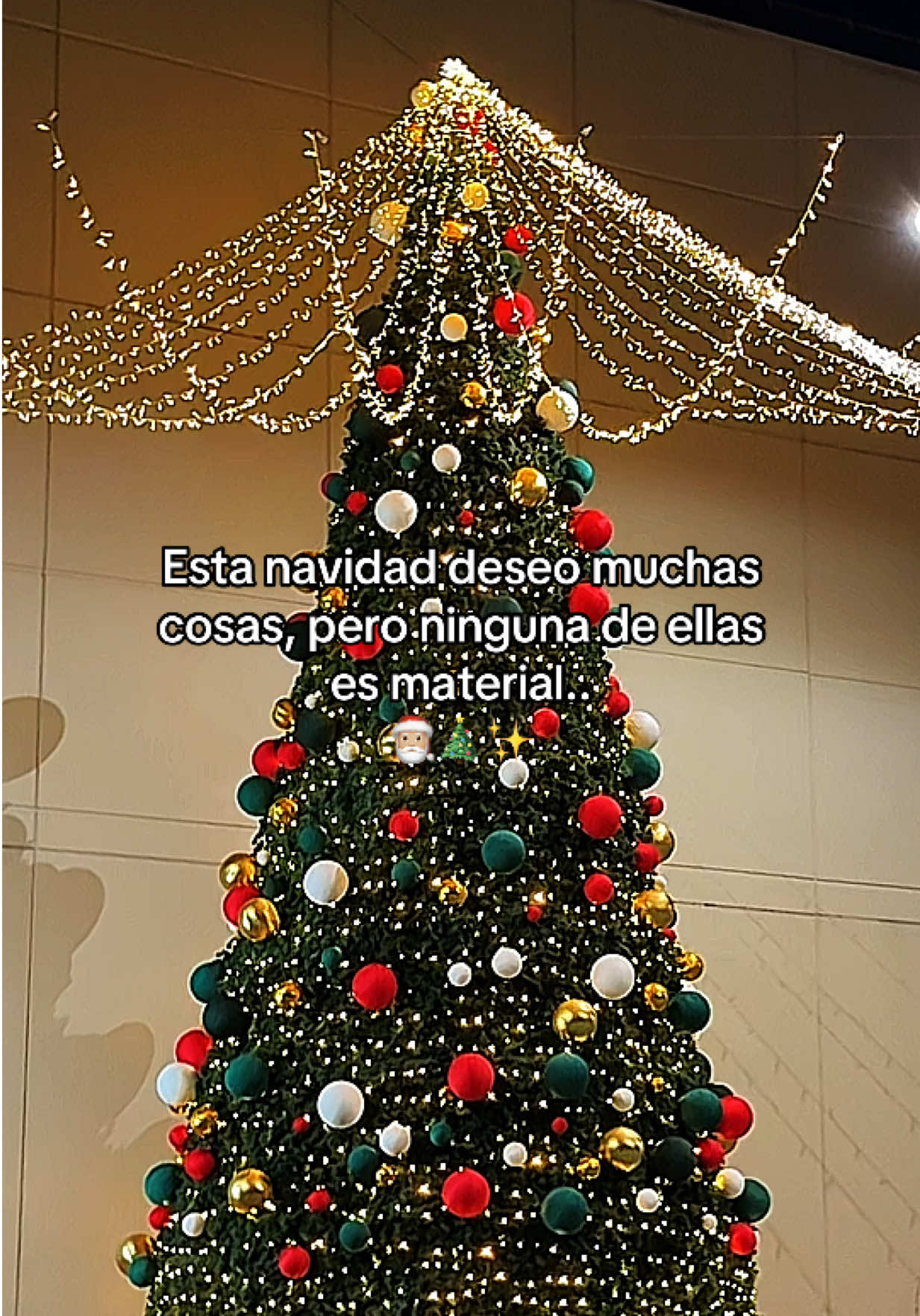 Ig: Paugomxz #fyp #viral #foryou #paugomx #navidad 