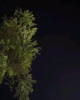 صعبه الآغنيه دي بجد🙂❤️‍🩹..  .  .  #fyp #vrail #حزن #اكسبلورexplore #حسين_الجسمي 