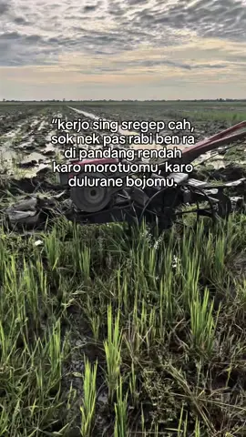 #CapCut #rekoso #petanimuda #traktorsawah #jokitraktormuda 