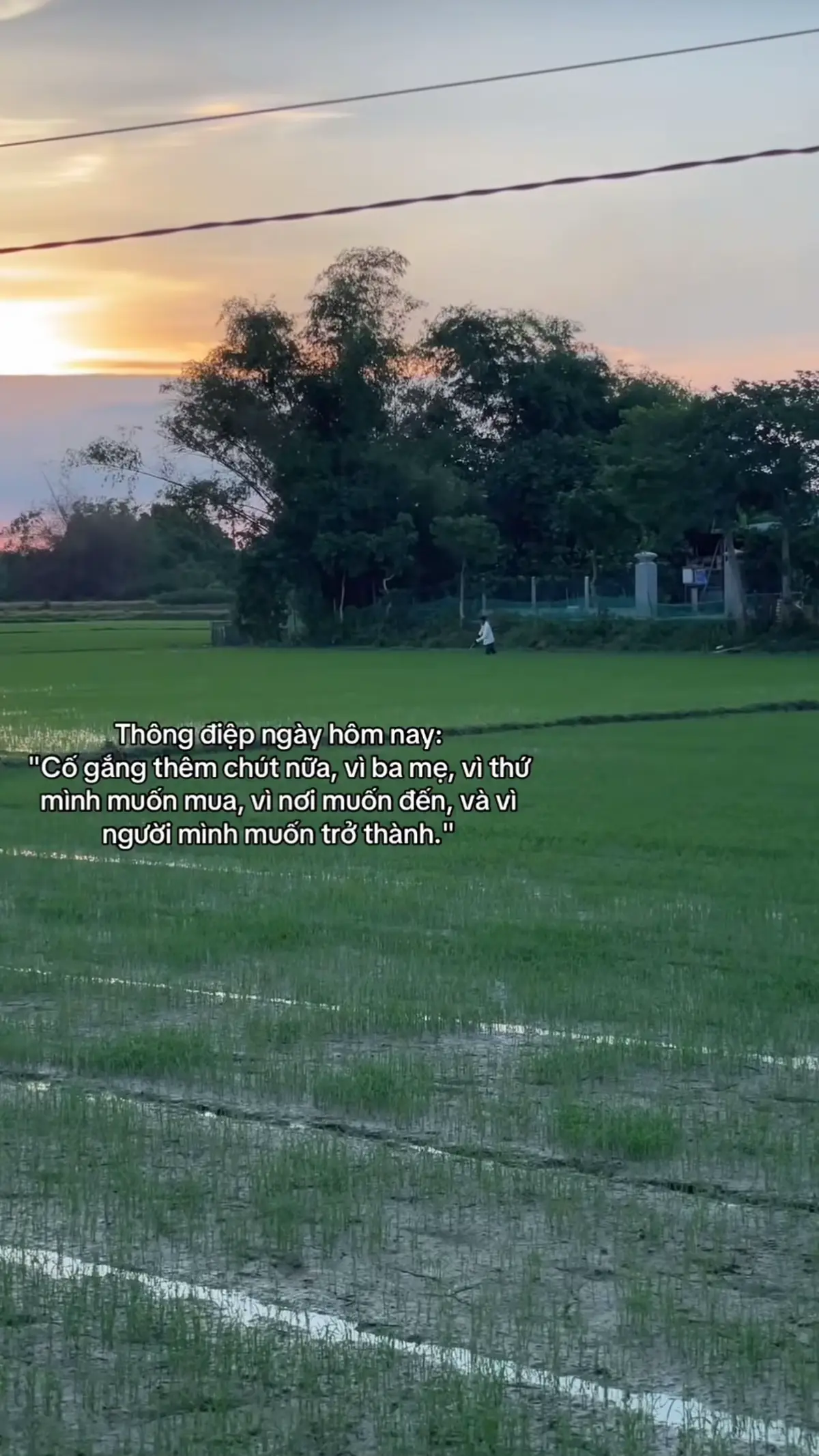 Gắng hết công r về=))#유학생 #thecbehanquoc #xh 