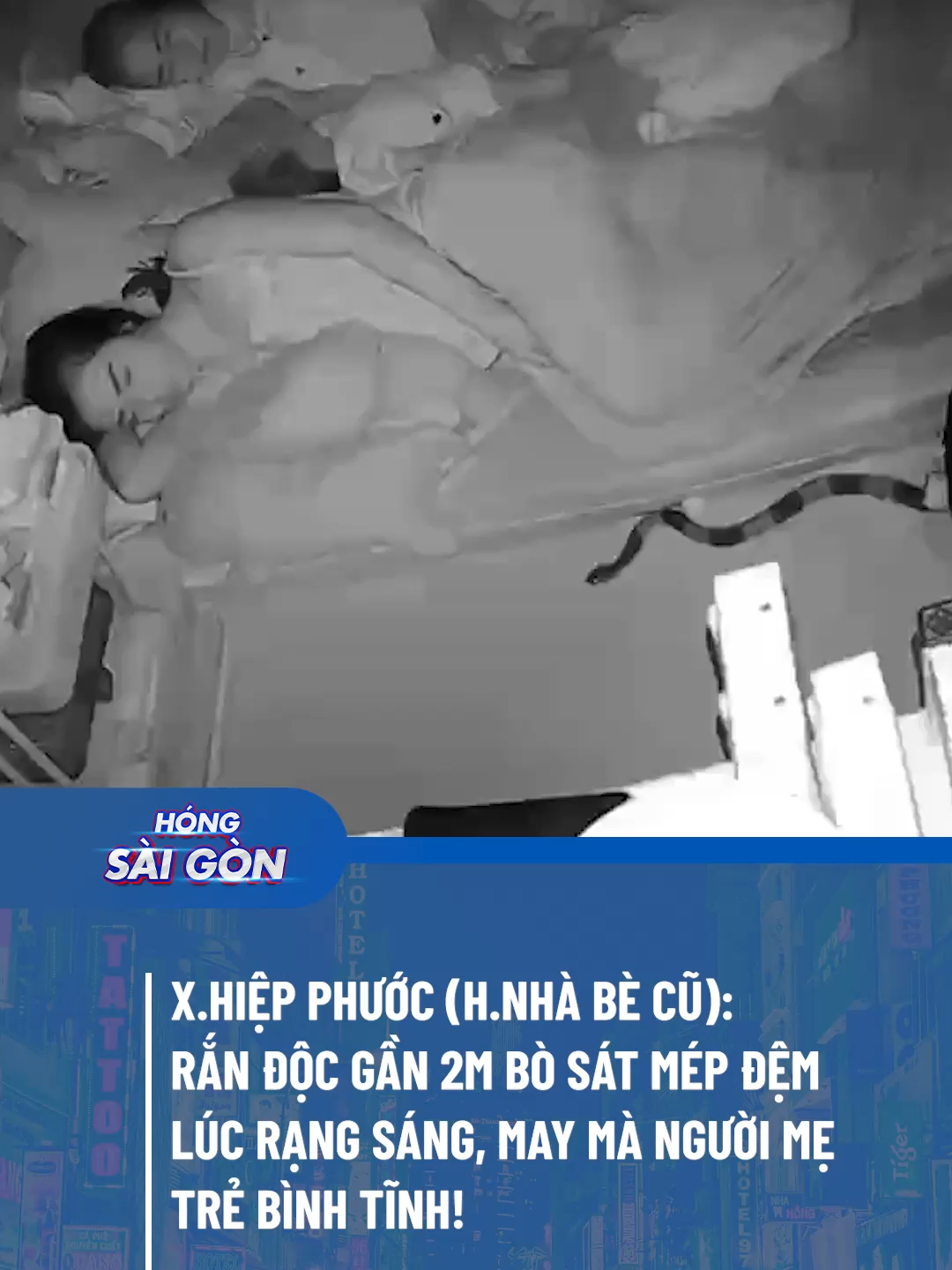 Khoảnh khắc con rắn độc bò vào nhà người dân ở TP.HCM lúc giữa đêm, coi mà hồi hộp theo nhịp nó bò luôn á trời! #HongSaiGon #ManEnt #svg #tiktoknews #fyp