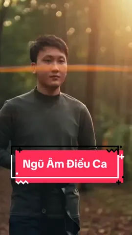 Ngũ Am Điều Ca #nhacchuong  #ringtone #bridshake #chimhot #bridshake