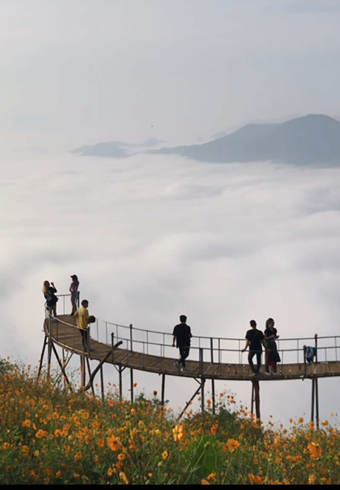 Hang kia pà cò - hoà bình #xuhuong #dulich #hoabinh #hangkiapaco