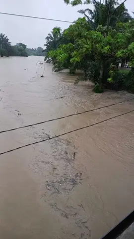 #kotabinjaibanjirrr #fypppppppppppppppp #sungaiberngammeluap