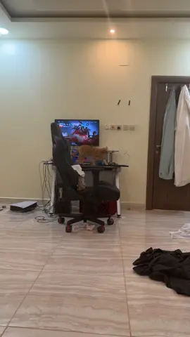 كود خصم عسوله (3sl) الرابط بالبايو❤️😸