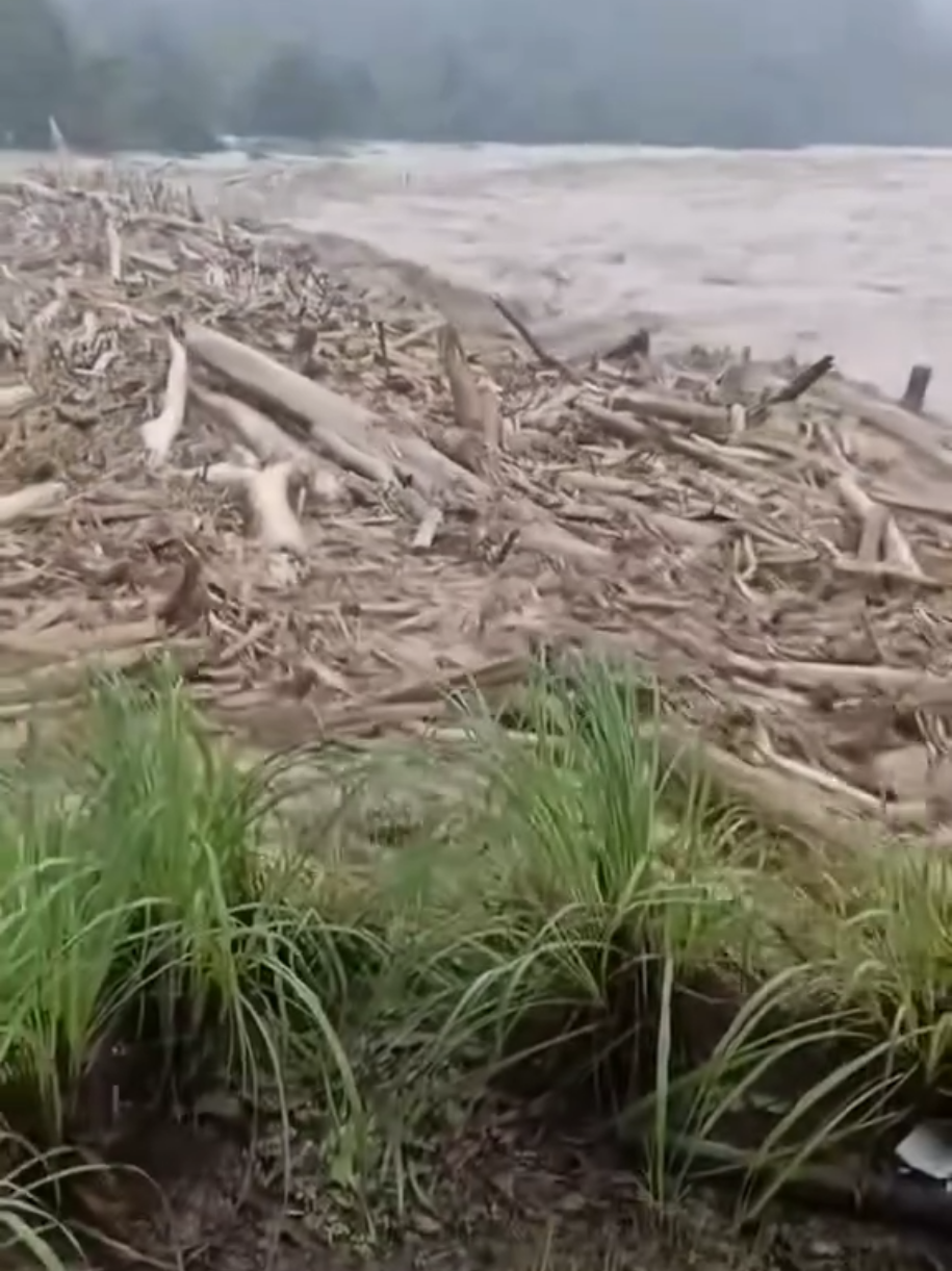KAYU GELONDONGAN DISUNGAI BATANG TORU Banjir Bandang Yang Melanda Wilayah Batangtoru, Tapanuli Selatan Membawa Meterial Gelondongan,, Menyapu Ratusan Pemukiman warga,, Potongan Kayu berbagai Ukuran yang terbawa Derasnya Arus Adalah Bukti ... @net2netnews.reborn  @joshua_banjarnahor_ @suparnojumar @jurnalmiliter #prayforsumut #prayforsibolga #prayforsumbar #tapsel #tapteng 