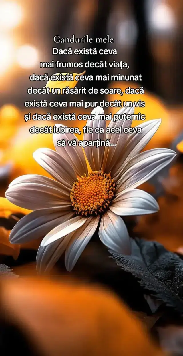 #gandurilemele 