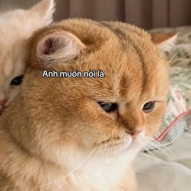 #fyp #xhhhhhhhhhhhhhhhhhhhhhhh #fypシ #viral 