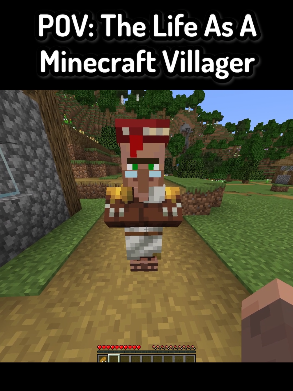 POV: The Life As A Minecraft Villager In Minecraft ( FT: @SquishyRob ) #Minecraft #funnymoments #mc #mcyt #minecraftmemes 
