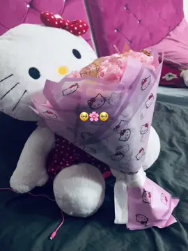 #paratiiii #ramohellokitty #viralllll #pinchetiktokponmeenparatiii 