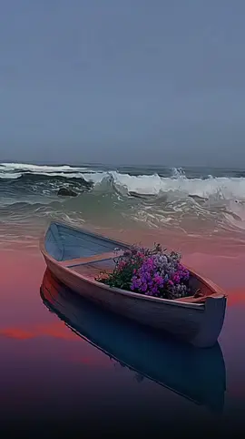 #صباح_الخير_🌷🌷🌷🌷 