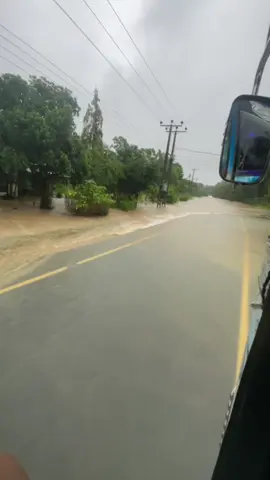 ගංවතුරෙත් වැඩ කරන අපි😟 #habarana #කැකිරාවේ_අපි🌎♥ #flood #rajarataking #habarana_srilanka🐘😍 