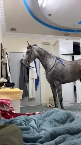 #tiktoklive #fyppppppppppppppppppppppp #foryou 