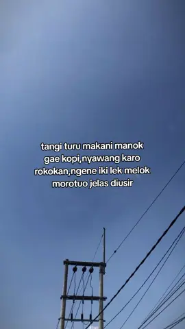 opo yo morotuoku tak racuni dolanan kicau😭#kicaumaniaindonesia #cendet #cendetmaniaindonesia #kicaumanianusantara 
