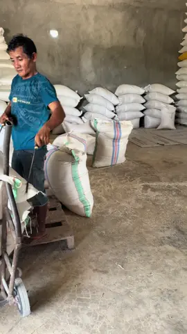 #pbsipatuo2 #berasmediumsuper #beraspremium #kendarisulawesitenggara 