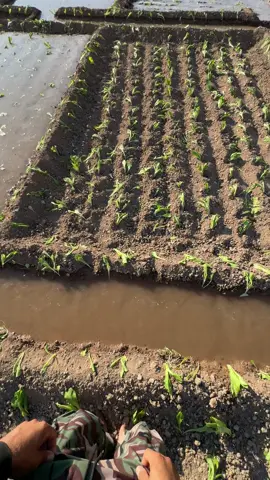 الحمدلله #الطبيعه_اجمل_شي_للراحه_النفسيه #عمان_الامارات_قطر 