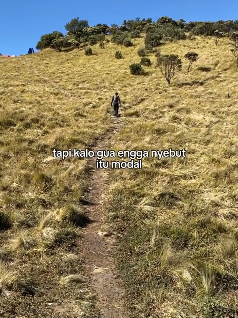 alam bersahabat  #pendakigunung #pendaki #indonesia 