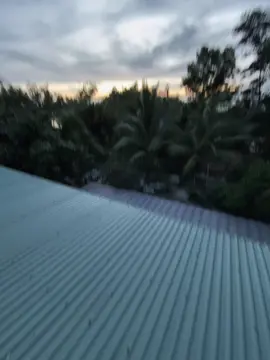 我不知道我的坚持是否会有回报 