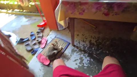 Try #fyp  #forypupage  #capcut  #tiktokstudio  #samsungs24ultra