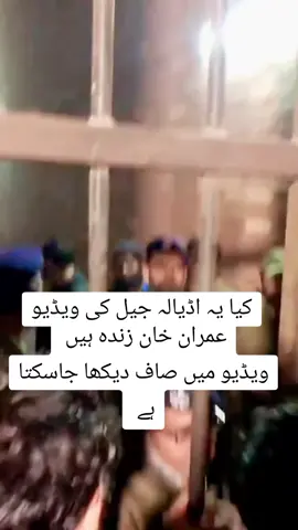 #creatorsearchinsights #imrankhan #foryou #trending 