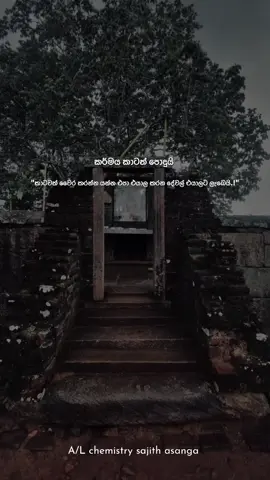 ❤️👤 #viral #trending #everyone #fyyyyyyyyyyyyyyyy #vibes 