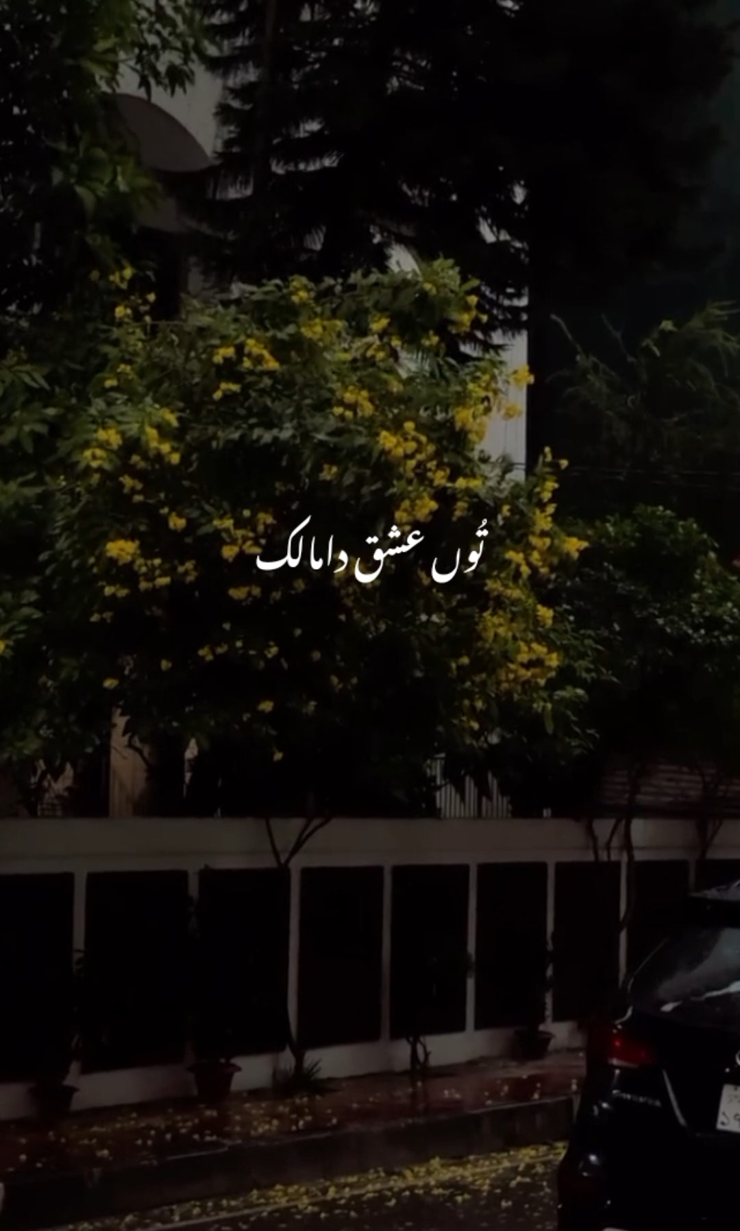 Feel This Song #🥺💔 {Please Repost My Video} #unfreezemyacount #lyrics #aestheticvideos #fyppppppppppppppppppppppp 