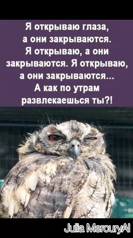 #сова#доброеутро#женщина#развлечения #хочуврек 
