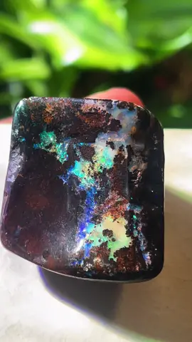 Australian Boulder Opal 👀 #crystaltok #opal 