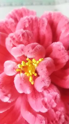 kẽm nhung làm hoa#kemnhunglamhoa #tittotxuhuong #trinh94 