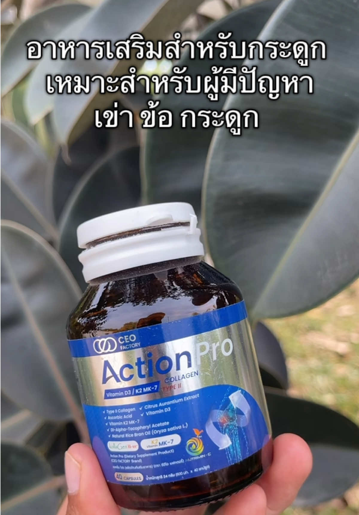อาหารเสริมสำหรับกระดูก เหมาะสำหรับผู้มีปัญหาข้อ เข่า กระดูก รีวิวจากผู้ใช้จริงทานแล้วดีขึ้น ทานแล้วเสียงขาวดังก๊อปแก๊ปแทบไม่มีเลย # tiktokป้ายยา #มีปัญหาข้อเข่า #อาหารเสริมกระดูก#เจ้ฝนพิกัดของดี #ปลาหมูสายแฟชั่น  @เจ้ฝนบอกพิกัดของดี  @เจ้ฝนบอกพิกัดของดี  @เจ้ฝนบอกพิกัดของดี 