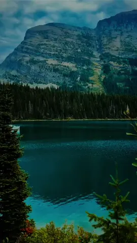 ان الله وملائكته يصلون على النبي #الشيخ_محمود_الشحات_انور  #سورة_الاحزاب  #quran_alkarim #quran 