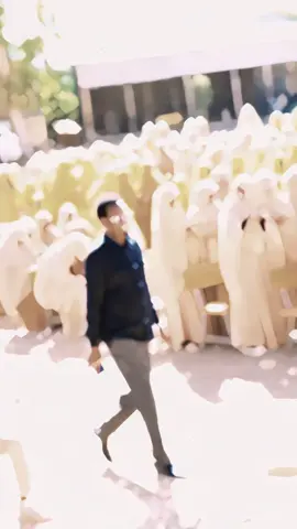 ahlul mujamac 🫡#fyp #mujamac #fyp #foryou #baladweyne🌴💉💯❤️🙏🌴 @🌷:H𝔞d𝔦𝔩𝔲𝔪e @Ⓜ️uscap @mustaf maxamed cismaan @OMAR JAJA1🇸🇴✋ @HIIRAAN TV📺 @AARKA~HIIRAAN🦁🇸🇧🔥 