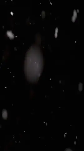 ##المملكة_العربية_السعوديه #فنان_العرب #عزازيات  #خاينه للعهود