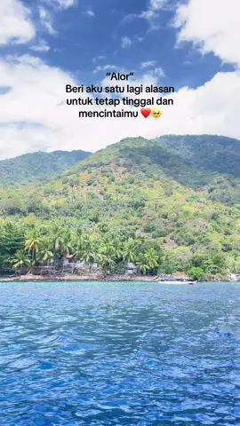 Satu lagi saja… #alor #alorpride🏝🔥 #nttpride🏝🔥 #pantai #pura 