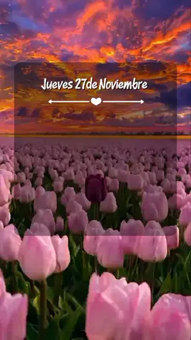 #CapCut Buenos Dias! frases! #buenosdias  #frasesparati♡  #felizjuevesparatodos🌼🦋🌺  #felizdiaparatodos❤️🙏🏻 