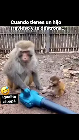 #😂😂😂 #humor 😅😅😂👌#humortiktok #contenido #parati 