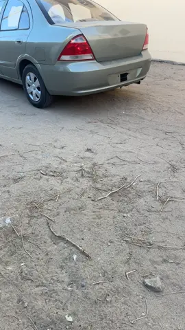 تخيلو انها كتم🖐️#explore #صني #fyp#foryoupage #زقرت 