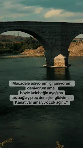 Mücadele edenler 👇 #storilikvideolar #keşfetteyizzz #virall #foryoupage #fyp 