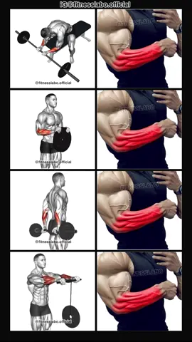 ✅ How to Build Bigger Forearms  ① Reverse Wrist Curl ② Weight Plate Rotation  ③ Behind Wrist Curl ④ Wrist Roller  3 sets 15-20 reps 