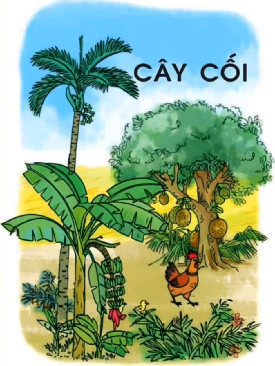 Những trang sách gắn liền với tuổi thơ của nhiều người P.2 #xuhuong #tuoithotoi #thinhhanh #sachxua 