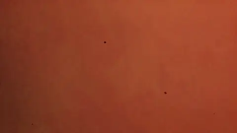 emotion>>>🫶🇮🇹😩#viralitalyviralvideo #foryou #স্বপ্নের_দেশ_ইতালি_🇮🇹 #accountunfrreez #hasanofficial651 @SADIFA  NANI  @—͞Ｓɪᴀᴍㅤ🕸️ @SK JIHAD @Ꭱᴀʙʙʏㅤi!🦋 