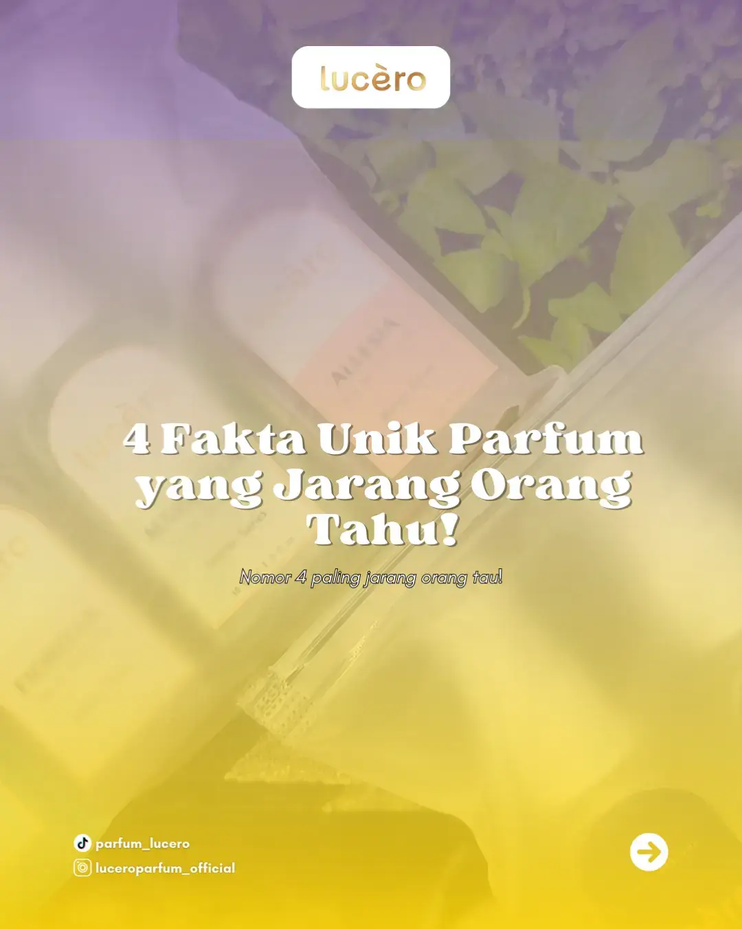 fix no 4 gak pernah denger 👇🏻  jangan lupa share fakta unik ala kalian dan jangan lupa tag Lucero Parfum 💋 #parfumviral #parfum #luceroparfum #viral #fyp 