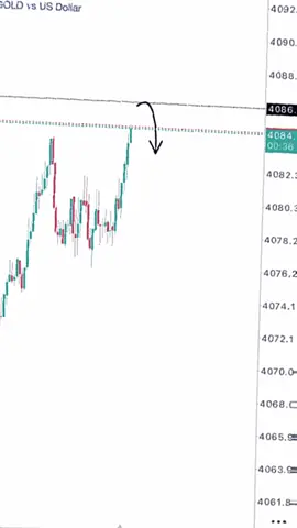 Profit kita party , mc kita info loker 😂 #promomakangajian #fyp #forex #trader #tradingforliving📊📈📉💴📱💰 