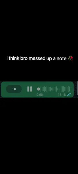 I think bro messed up a bit... #recording #music #funny #piano 