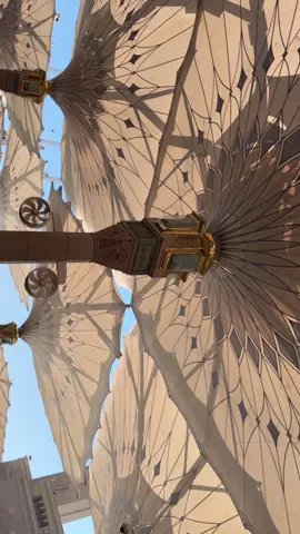 Mau tinggal disini 🥹